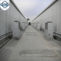 cold storage refrigeration freezer for meat